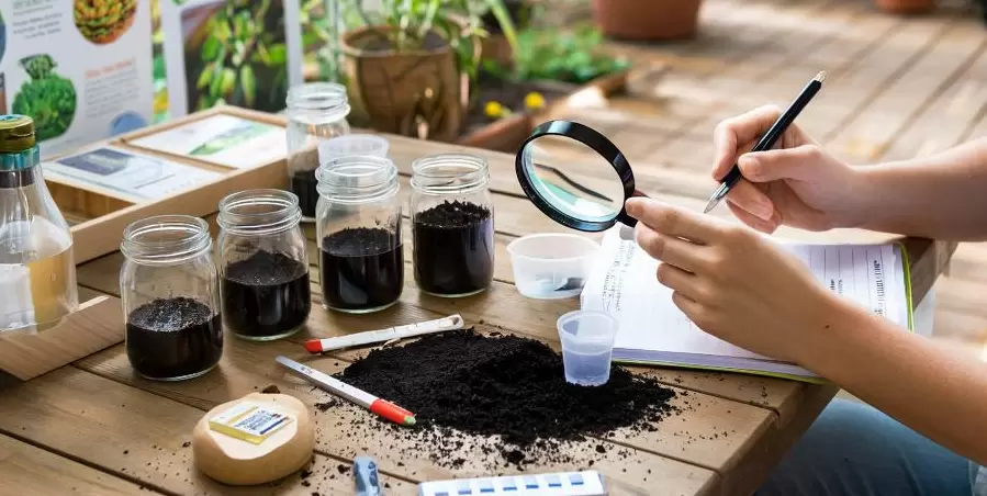 Секреты почвы: Как понять, что скрывается под нашими ногами