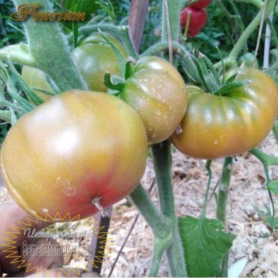 ����� �������: ���������� ����������� ����� ��� ������ �������