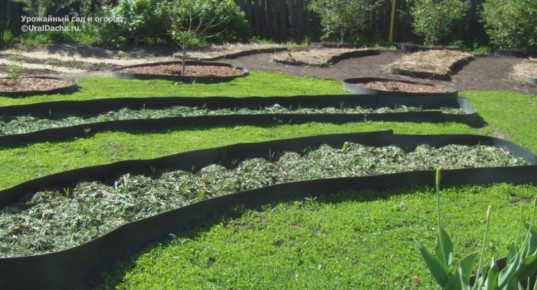 Как обеспечить плодородие земли, не уставая – секреты органического земледелия