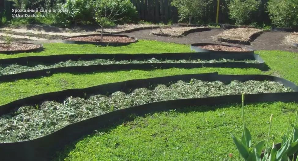 Как обеспечить плодородие земли, не уставая – секреты органического земледелия