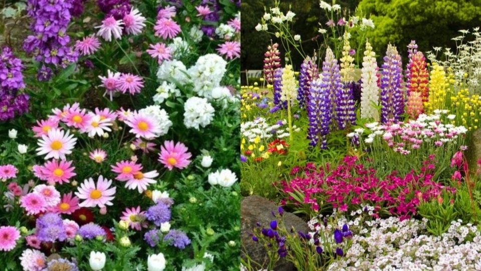 ����������� ��������: ��� ������� � �������� ������ �������