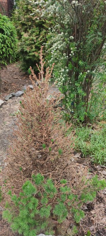 ��� ��������� ��� ������: ������� ������ � ��������� ���������