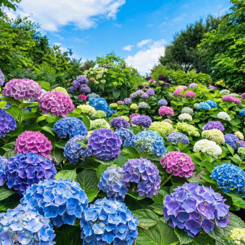 ��������� � ����� ����: �� ������� �� ������������� ��������