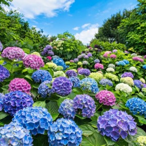 ��������� � ����� ����: �� ������� �� ������������� ��������