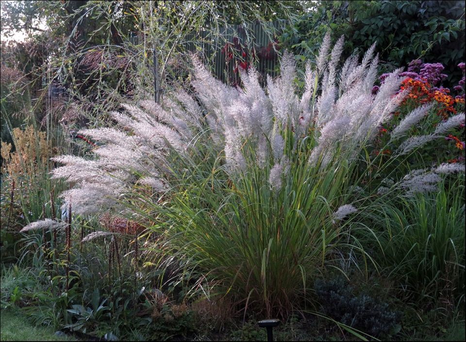 ����������� ������ �� �������� �������� �����������: ��������������� ����� � ����� ����