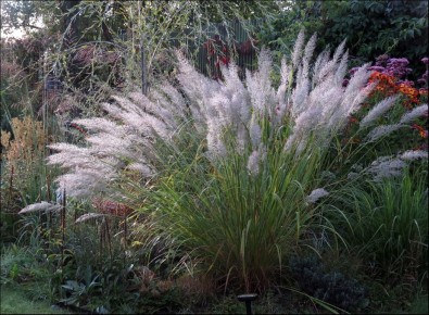 ����������� ������ �� �������� �������� �����������: ��������������� ����� � ����� ����