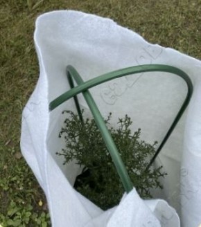 ��� ������� ��������� ������� ��� ������� ������� ��������