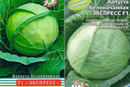 ��������� �����: ����������� ������� ��������