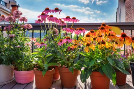 �������� � �������: ��� ������� �������� ��� �� ����� �������