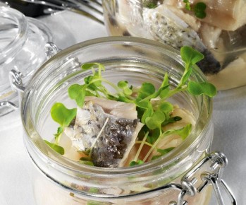 ���������� �����������: ������ � ����� ���� � �������� ��������