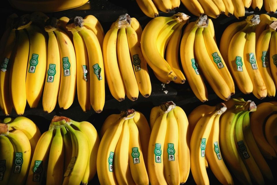 ������ ��� ��������: ��� ����� ����� � ������� ������