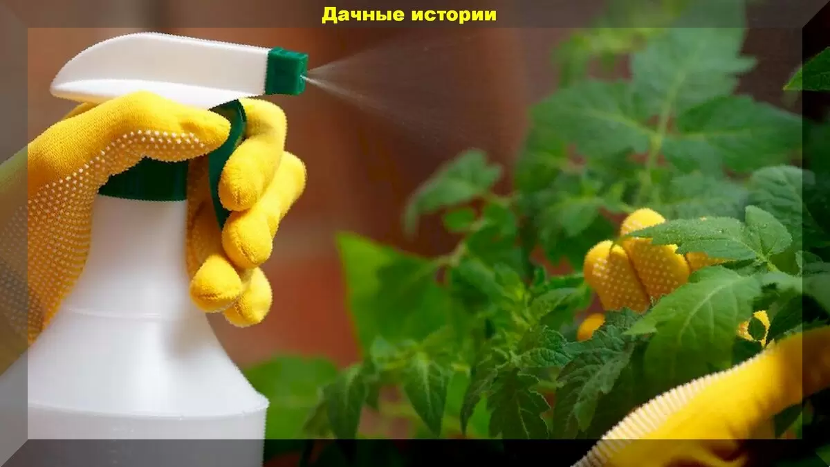 Опасные гуматы: как избежать ошибок в уходе за растениями