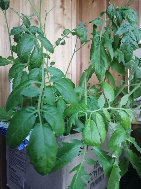 �������� ������ ��������: ��� �������� ������� � ���������� � �������������� ������� �� ����