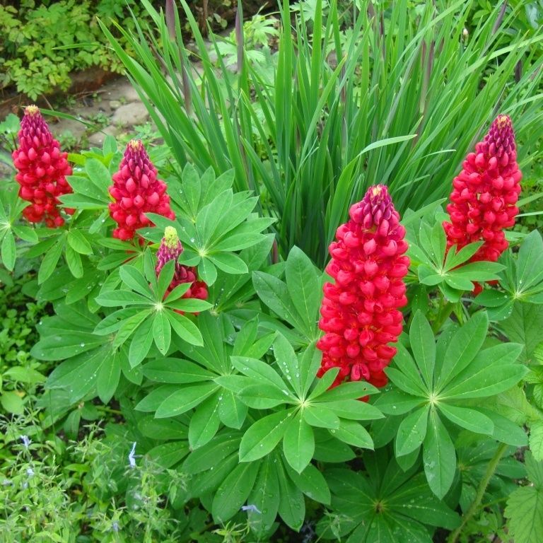 ������: �������, ������� �������� ������ ����