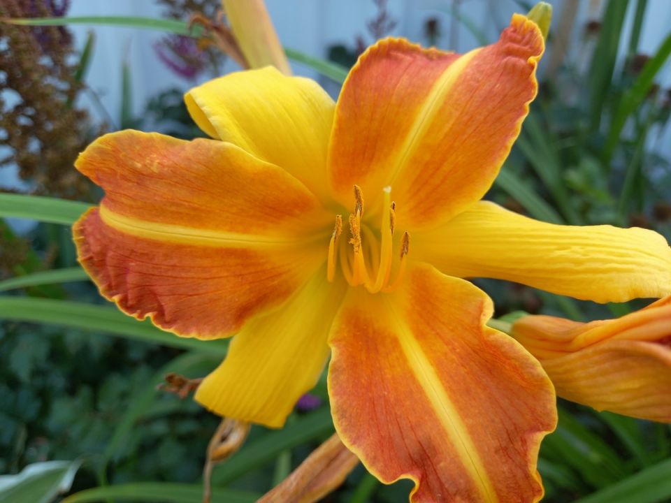 ������� �������� ������: ��� ���������� ���� �������� � ��������� ���������