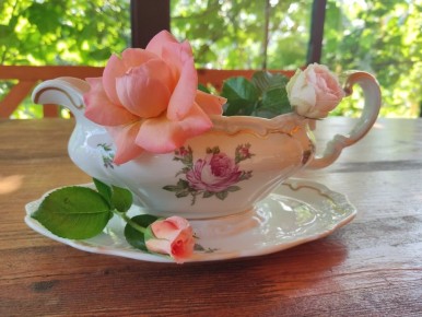 Винтажные соусники: новая жизнь старинной посуды в зимней выгонке первоцветов