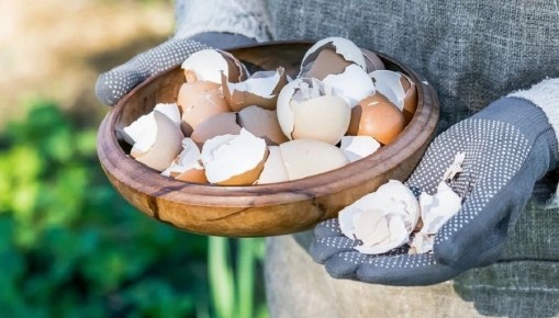 ��� ������������ ������ ��������: 9 ����������� ���� ��� ���� � ����