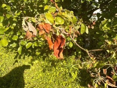 �������� �� �������: �������� ��� ������������� ����?