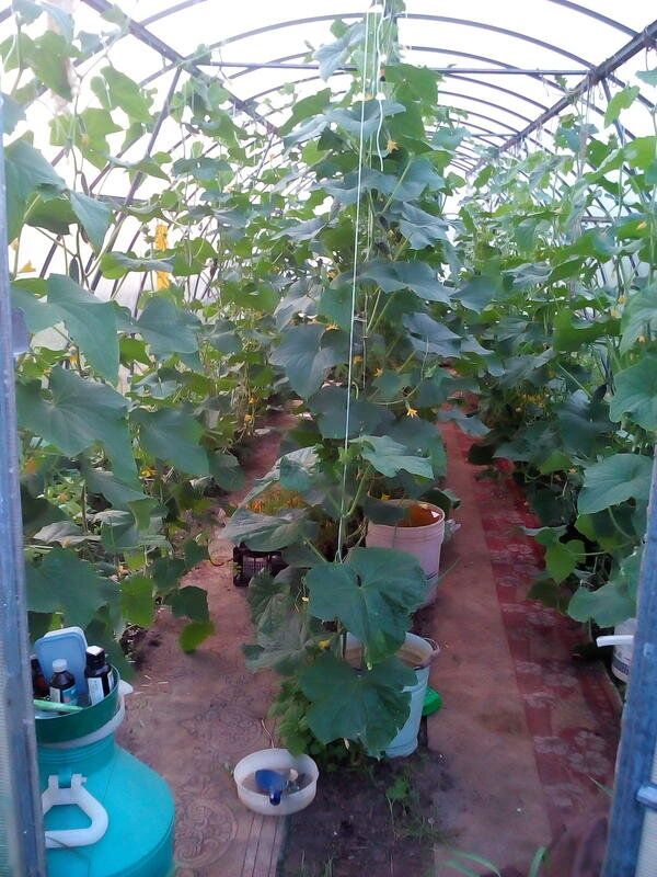 ��� ������� ������� ����� �������������� ��� ������ �������