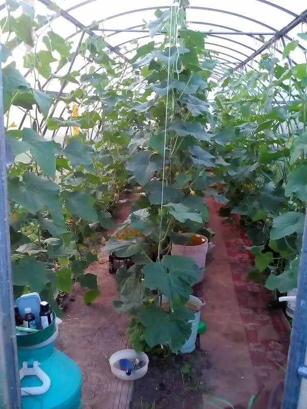 Как дачники находят новое предназначение для старых паласов