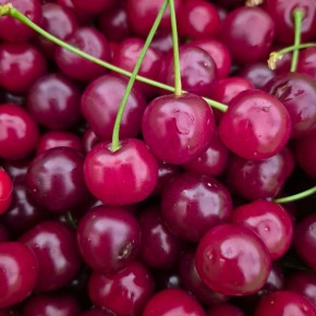 �������� � ������: ��� �������� � �������� ��� �������� ���������