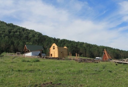 Преимущества и вызовы участков у леса