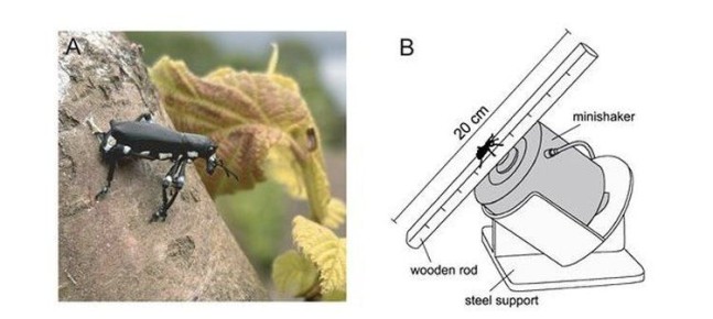 ������������ ���������� � ������ � �������������: ����� ������ �� ������ �������