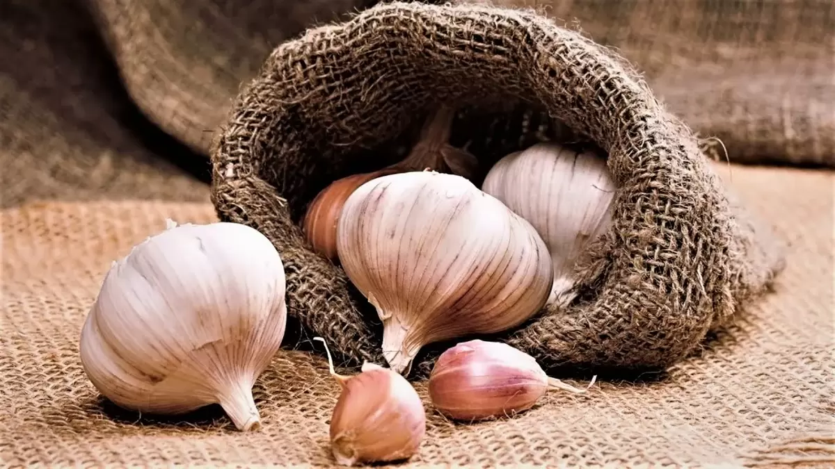 Увеличение аромата чеснока: Как нарезка может изменить ваши блюда