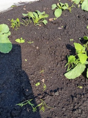 ��������� �� ������: ������� � ����� ��� ������������� ������