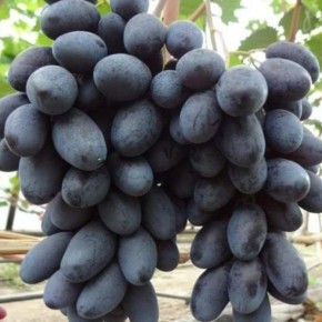 �������� ������ ������: ���������� ���������� � ������������� ���� � ����� ������