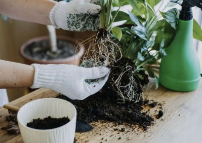 ��� ��������� ������������ ��������� �������� �����: ������ � �������