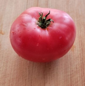 ����� ���������: ������� ��������� ������ � ���������� ������