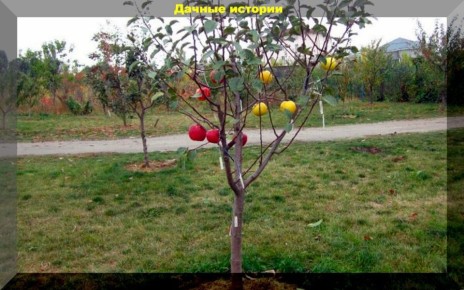 �������� �������: ������������ ������� ��������� ��� ������ ����