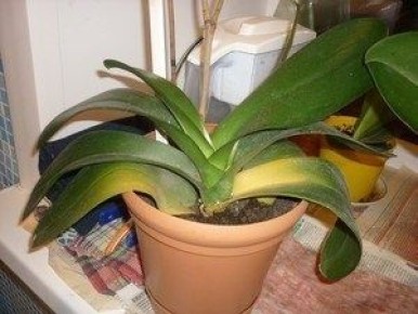 ������ ������� ������ � ������� � ��� � ���� ����������