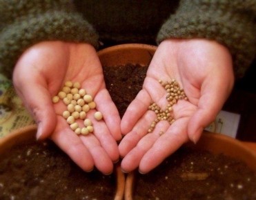 ��� �������� ������ ��� ������ ����� ��� �������