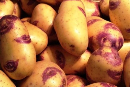 ���������� ��������� ���� �� ����: ��� ����� �����?