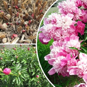 ����� � �������� �����: ������� ��������� � ������ � ���������