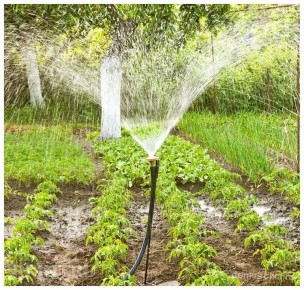 ���� � �������: ������� ���������� ������ ��� ����� ��������