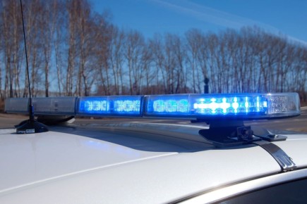 ������� � �������� ������� ���������������� �������� �����������, ������������ �� �������������� ����������, ������������ �� ������� ������ ��������� �� ������ ���������� ��������