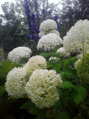 ��� �����: ��� ������� ����������� � �������� ������ ������