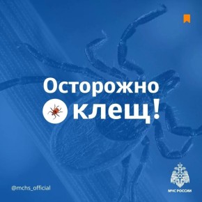 ���������! ����!. �������� �� ����� �� ������� ��� ������: