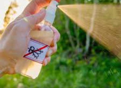 ��� ������� ����������� ���������� �� ��������� � �������� ��������