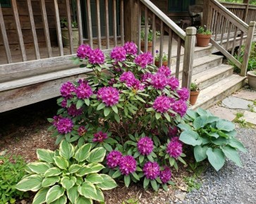 ��� ������� �������� ����� �� ��������� ������������ ��� ������ ������