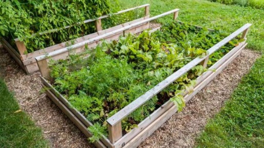 ��� ���������� �������� ������� ��������� ������: ������� ������