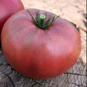 ����� � ������������� ��������: ������������ ���� ��� ������� �������