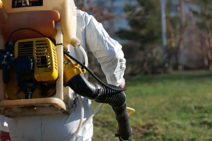 � �������� ���������� � ��������������� ��������� ������������ �����������