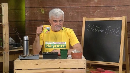 ������, ��������! �� ����!� ��������� � ������ �� ������� � ������������ � ����������� � ����� ������: