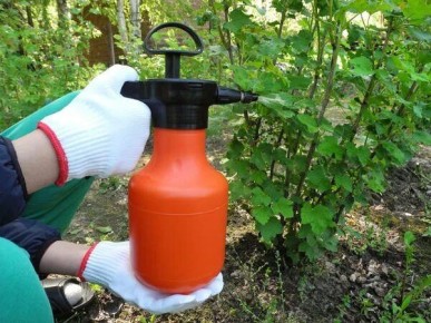 ������ ����������� ������ � ���� � ���������: ��� �������� ����� ������ ��� ���