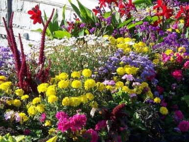 �������� ���������� ������ ��� ������� ��������