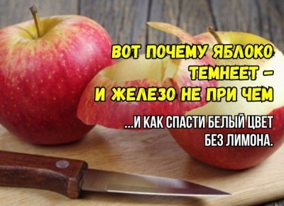 ������� ���������� �������� �����: ����������� ������ ������ ������ �����